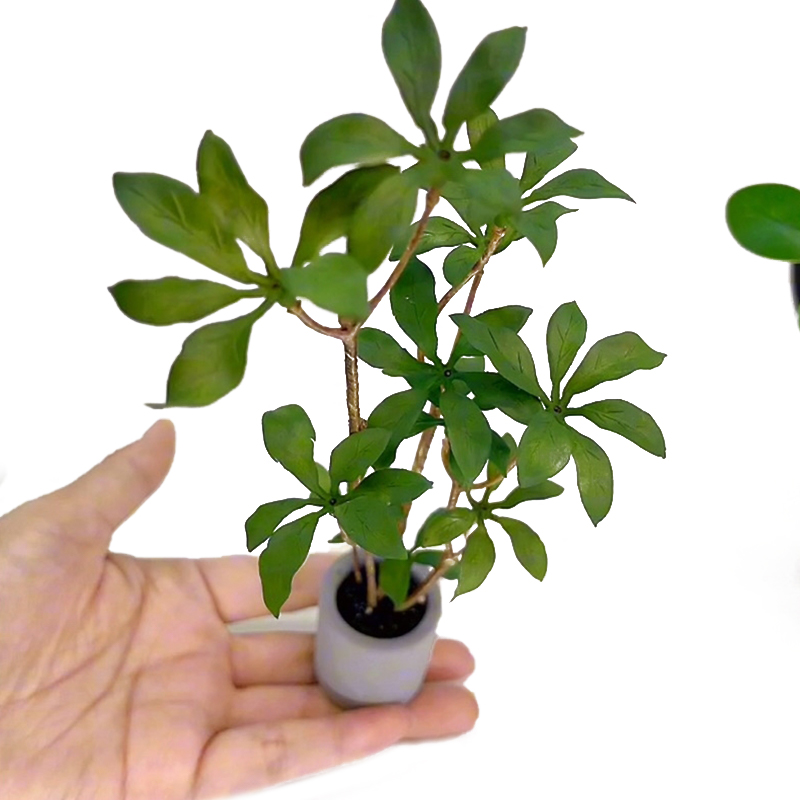 Bonsai Garden House - บ้านตุ๊กตา1:6กระถางต้นไม้โมเดลสีเขียวใบกระถางต้นไม้บอนไซประดับสวนอุปกรณ์ตกแต่งบ้านตุ๊กตา