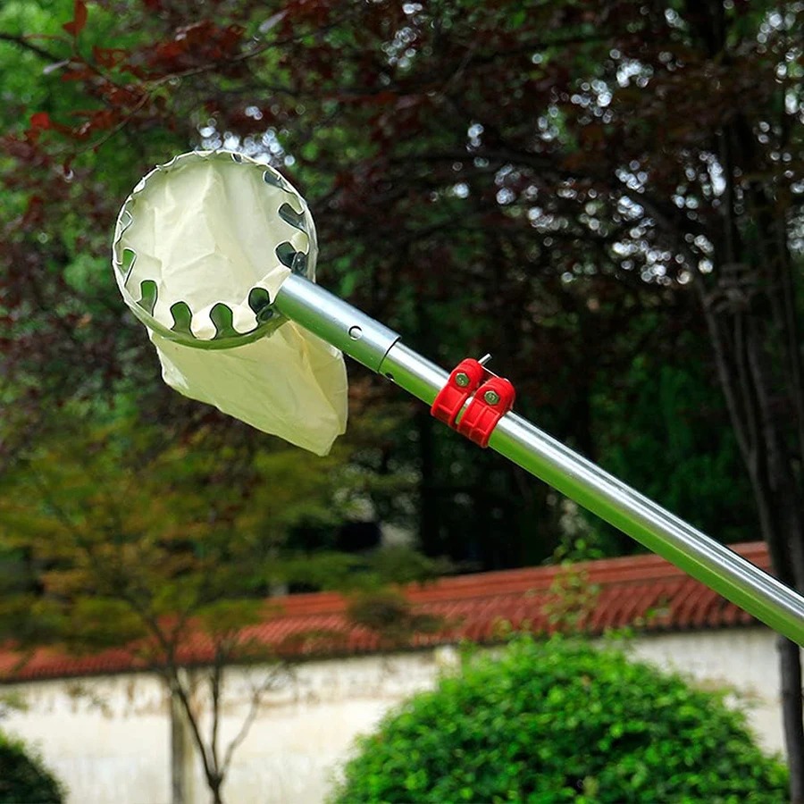 ชุดอุปกรณ์เก็บผลไม้แบบปรับได้ส - Bonsai Garden Tree บทวิจารณ์และราคา