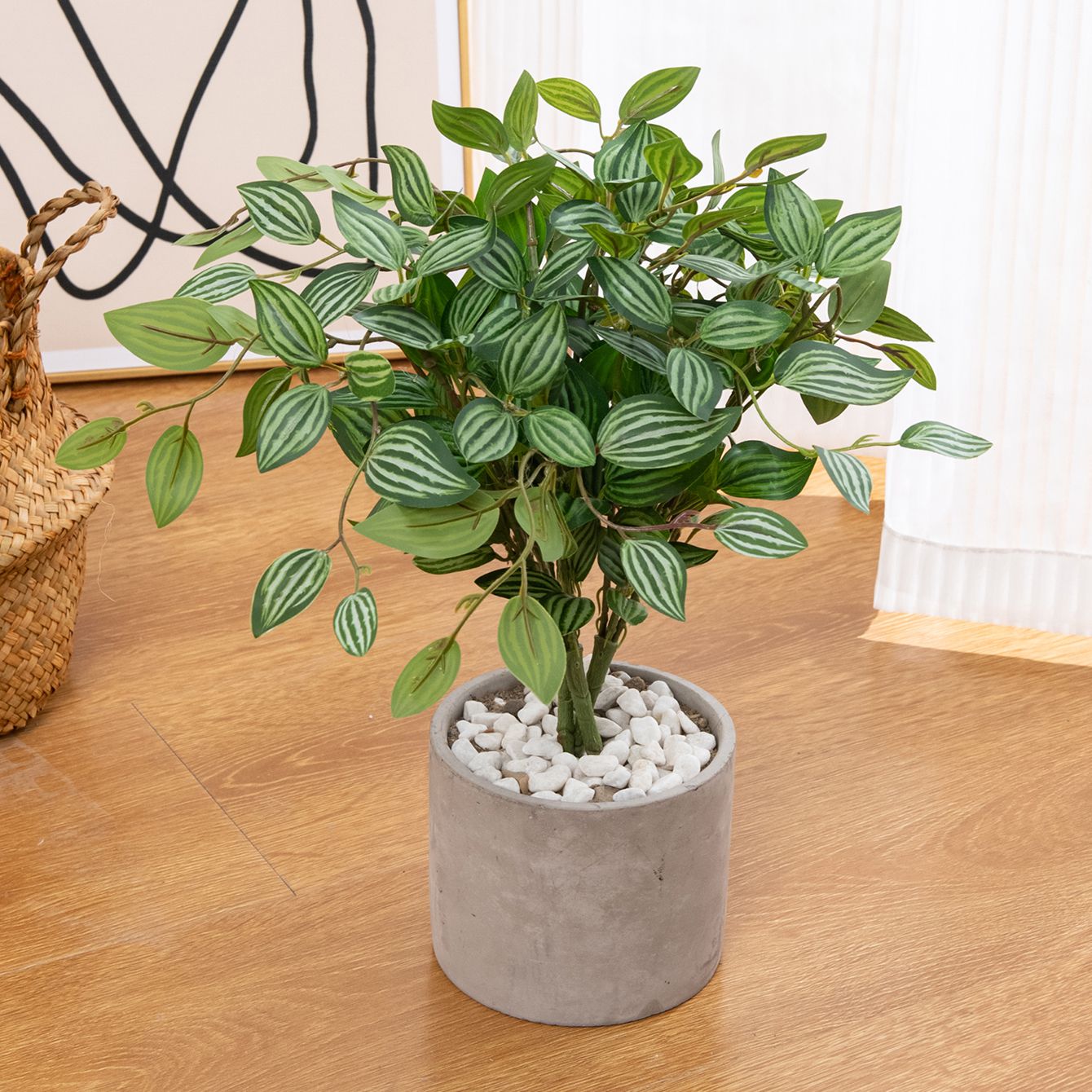 ต้นบอนไซประดิษฐ์สีเขียว สำหรับ - Bonsai Garden House บทวิจารณ์และราคา
