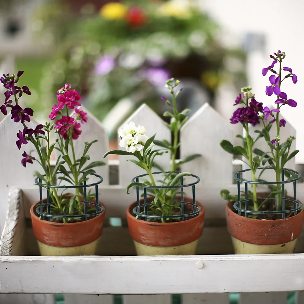 กรงพลาสติกสำหรับพยุงต้นไม้ในสว - Bonsai Garden House บทวิจารณ์และราคา