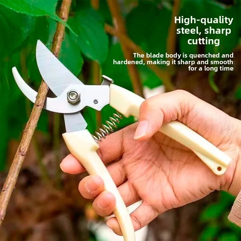 กรรไกรตัดแต่งกิ่งไม้แบบประหยัด - Bonsai Garden Tree บทวิจารณ์และราคา