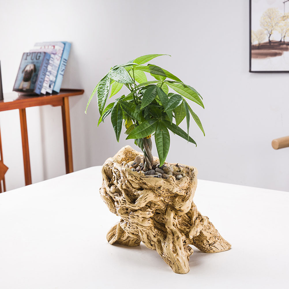 กระถางดอกไม้รูปทรงรากไม้ สำหรั - Bonsai Garden Display บทวิจารณ์และราคา