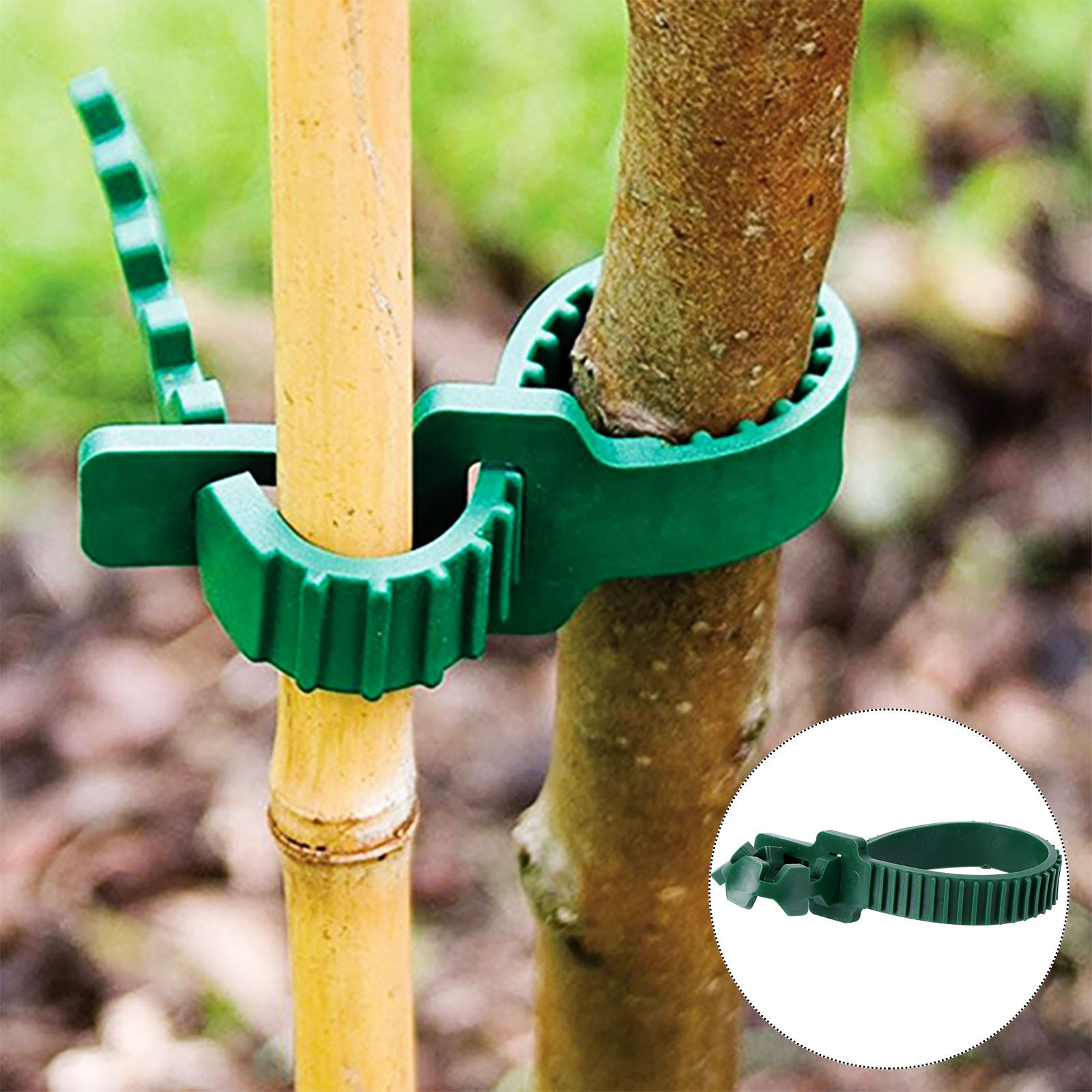 คลิปยึดเถาวัลย์สำหรับพืชในสวน  - Bonsai Garden Tree บทวิจารณ์และราคา