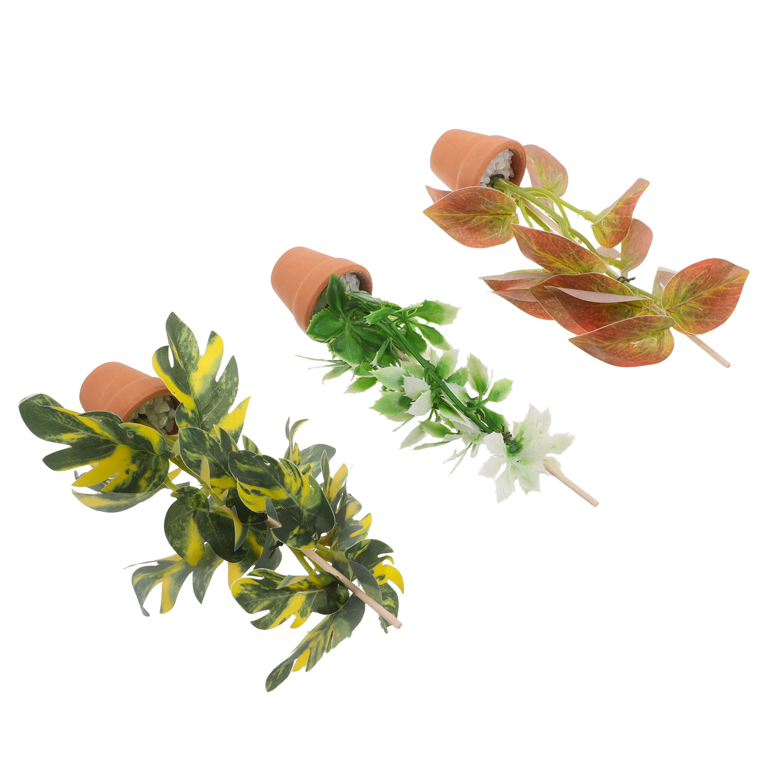 ชุดต้นไม้กระถางจิ๋ว 3 ชิ้น ทำจ - Bonsai Garden Display บทวิจารณ์และราคา
