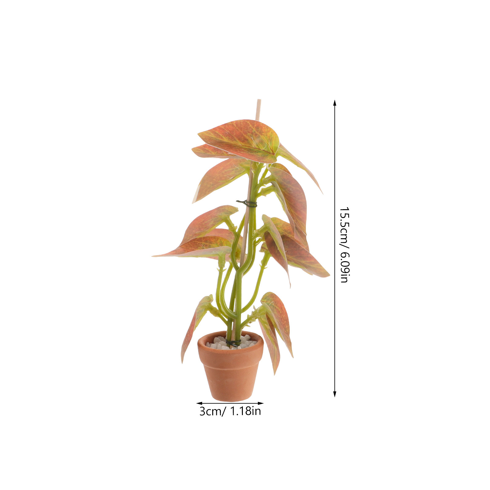 ชุดต้นไม้กระถางจิ๋ว 3 ชิ้น ทำจ - Bonsai Garden Display บทวิจารณ์และราคา