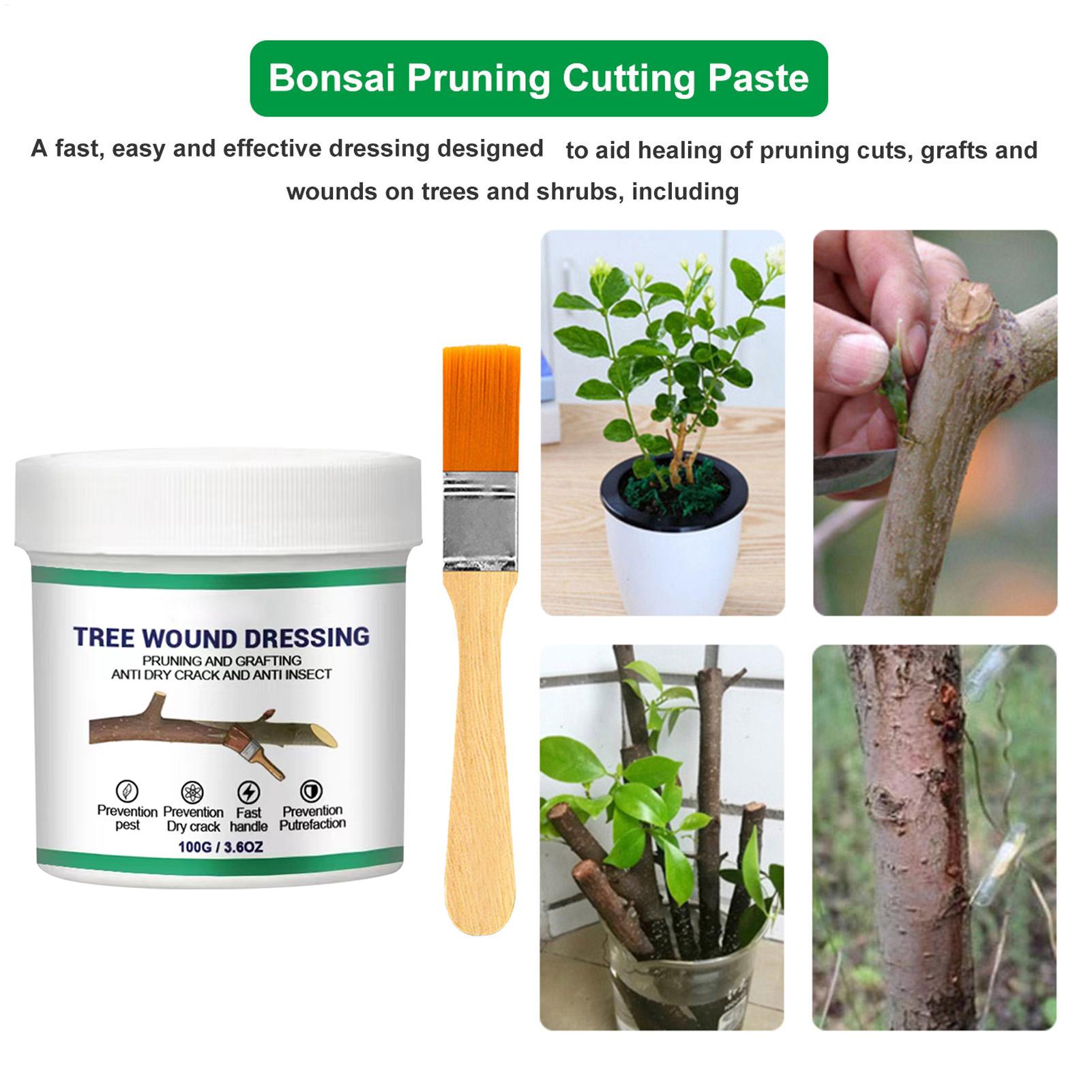 สารเคลือบแผลตัดกิ่งไม้ 100 กรั - Bonsai Garden Tree บทวิจารณ์และราคา