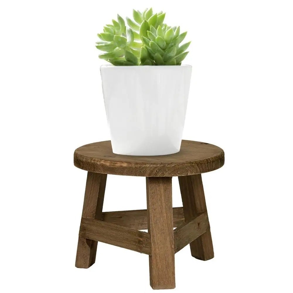 ชั้นวางบอนไซไม้ทรงกลมขนาดเล็ก  - Bonsai Garden Display บทวิจารณ์และราคา