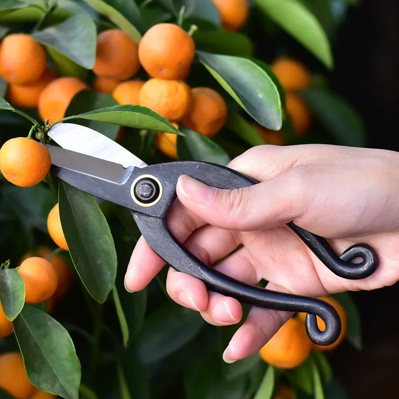 สูงคาร์บอนเหล็กกรรไกรตัดแต่งกิ - Concave Branch Cutter บทวิจารณ์และราคา